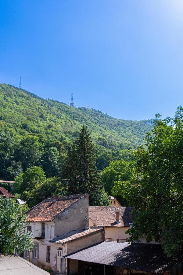 Black Gate - Quiet Studio In The Heart Of Old Town With Free Private Secured Parking Брашов Екстериор снимка
